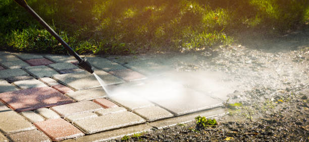 Best Solar Panel Cleaning  in Paramount, CA